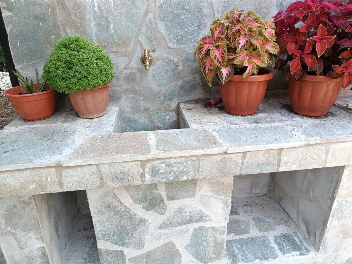 Apartament Amaryllis Seaview House By Guestcorfu Paramonas  Zewnętrze zdjęcie
